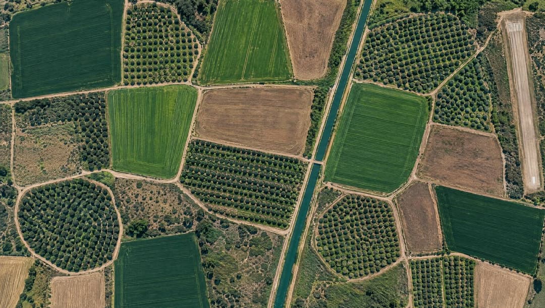 Mapa ao vivo dos talhões com equipamentos no campo